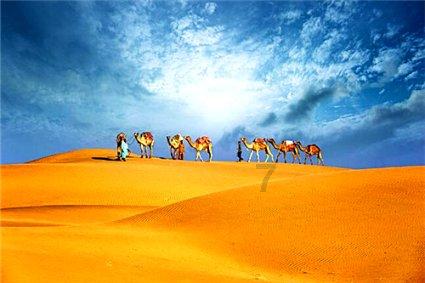 老公出轨怎样做才能挽回婚姻呢?游戏画面